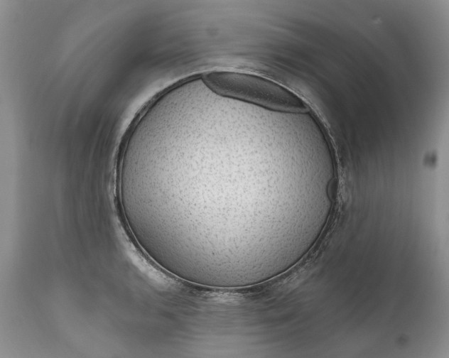 X0000111041136200907091603