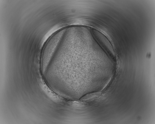 X0000111041138200907091603