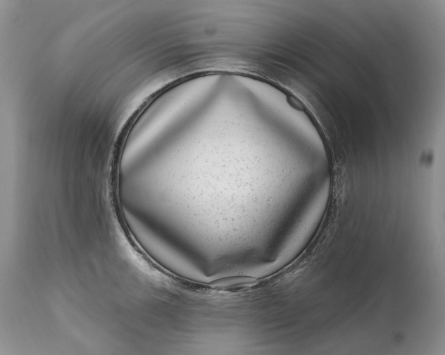 X0000111041139200907091603