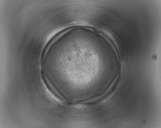 X0000111041141200907091603