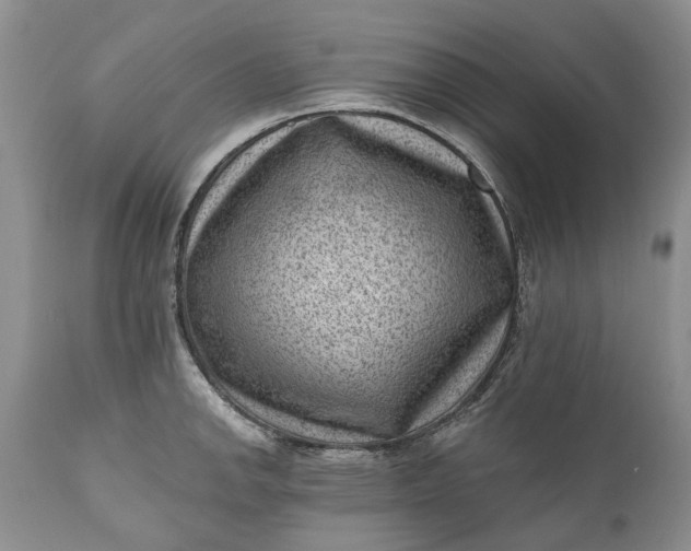 X0000111041142200907091603