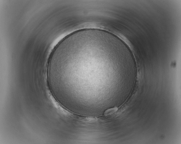 X0000111041144200907091603