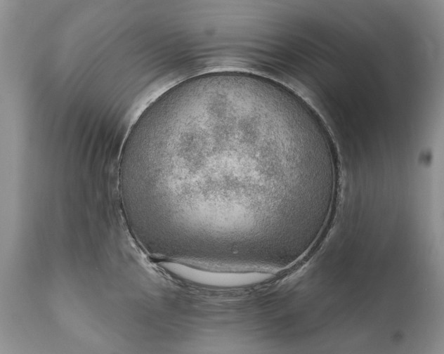 X0000111041145200907091603