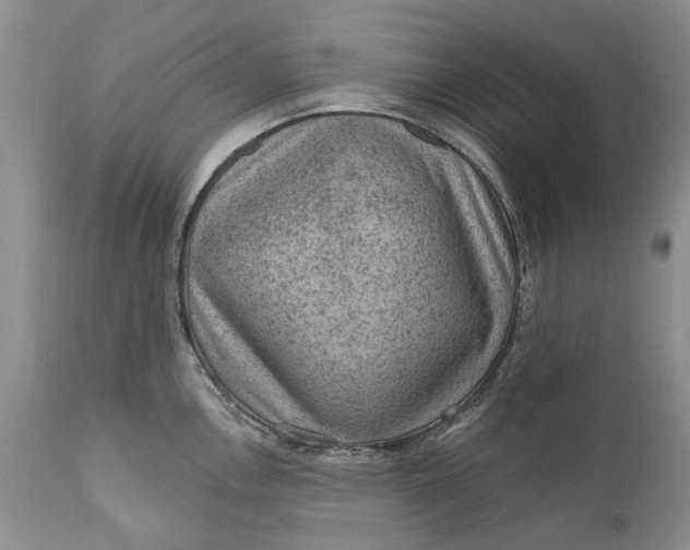 X0000111041146200907091603