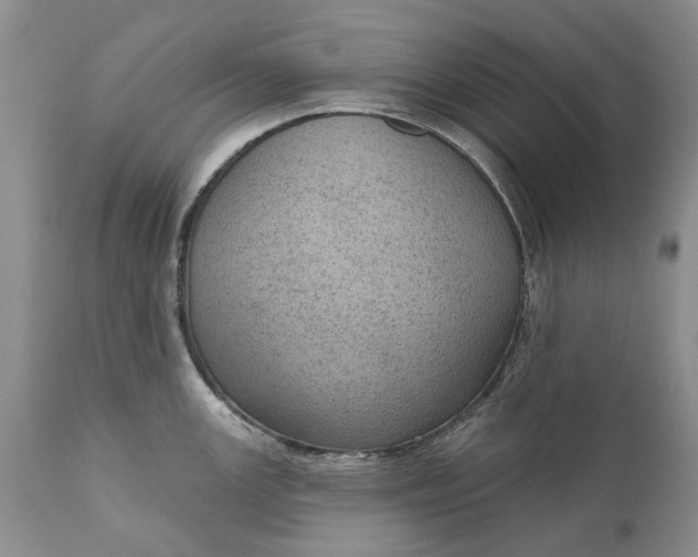 X0000111041147200907091603