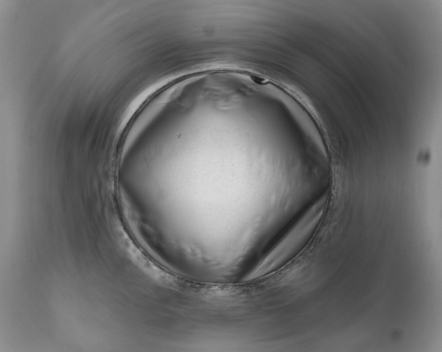 X0000111041148200907091603