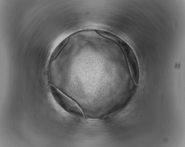 X0000111041152200907091603