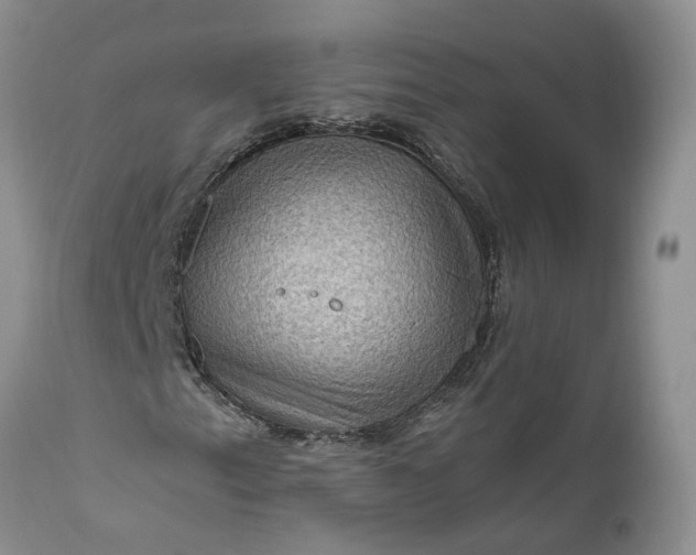 X0000111041153200907091602