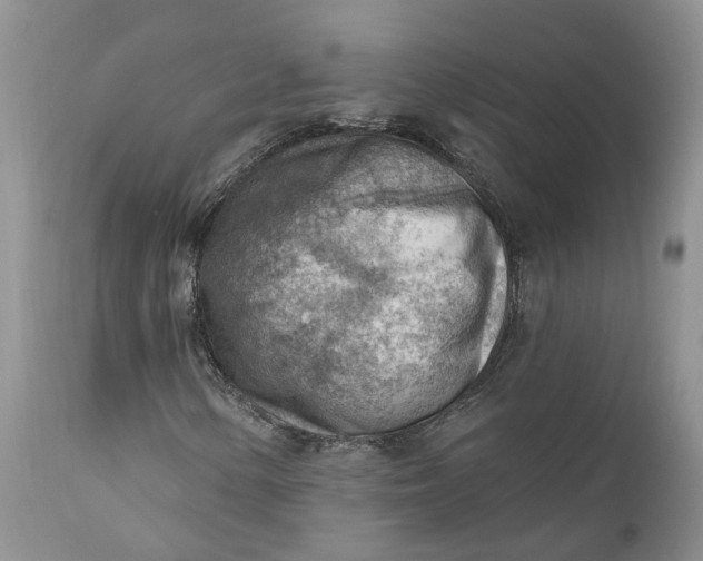 X0000111041154200907091602