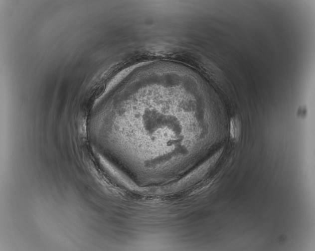 X0000111041155200907091602