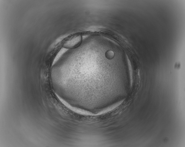 X0000111041158200907091602