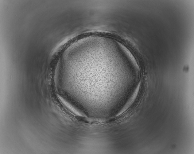 X0000111041159200907091602