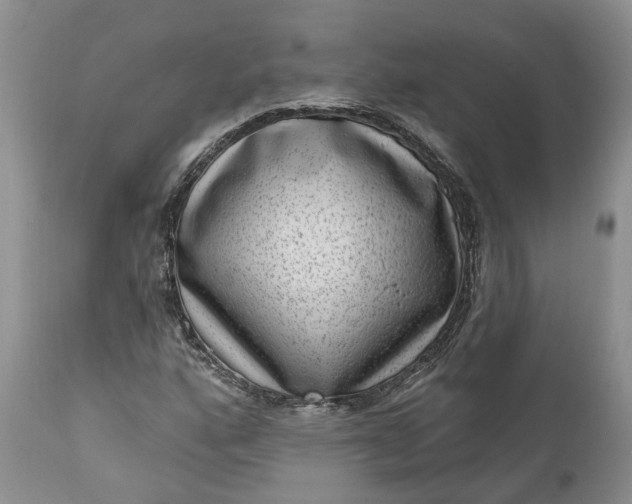 X0000111041160200907091602