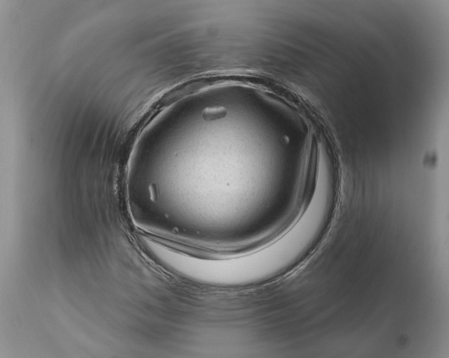 X0000111041161200907091602