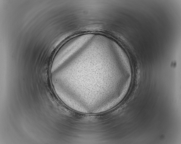 X0000111041162200907091602