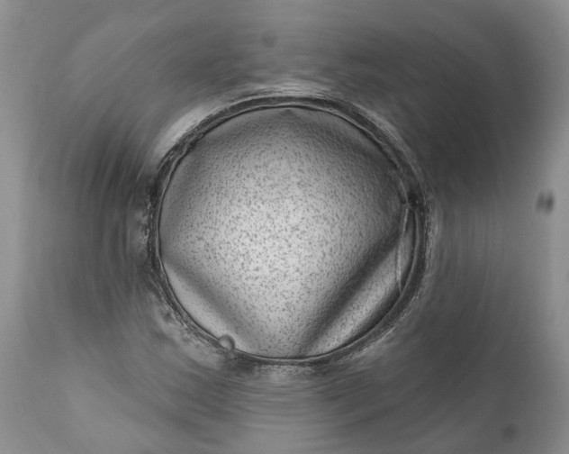 X0000111041163200907091602