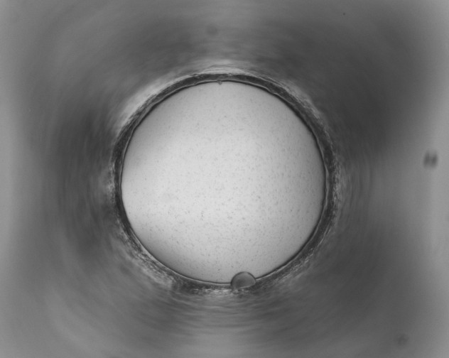 X0000111041167200907091602