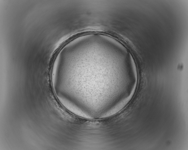 X0000111041168200907091602