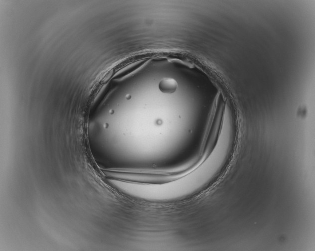 X0000111041169200907091602