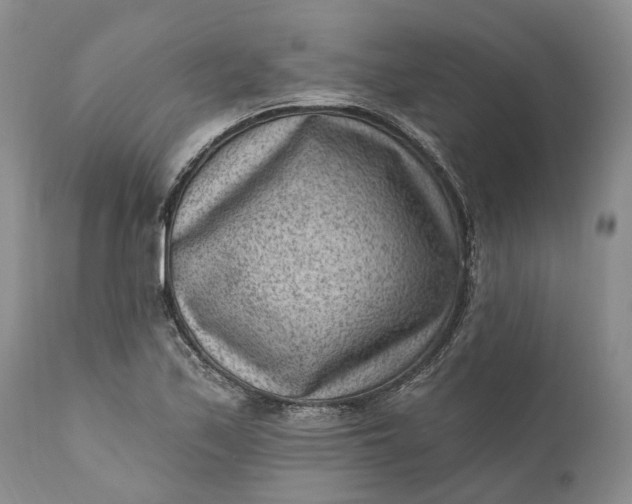 X0000111041171200907091602