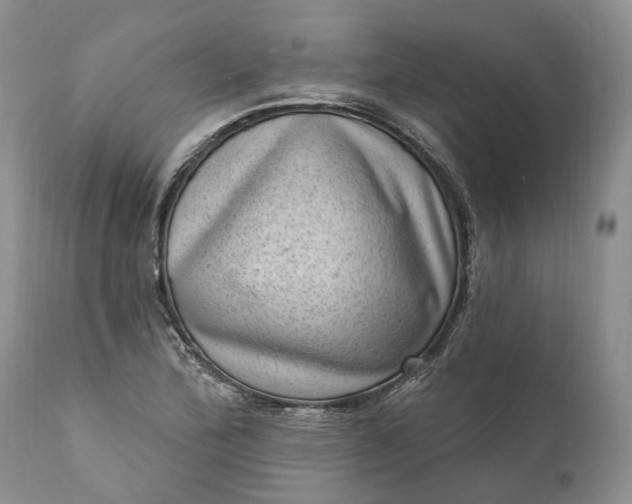 X0000111041172200907091602