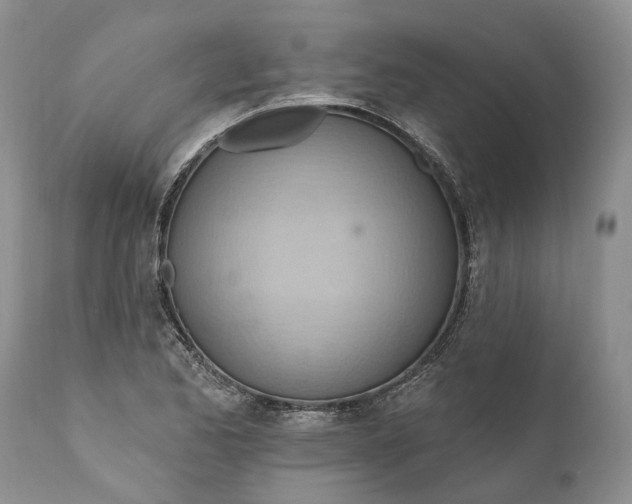 X0000111041173200907091602