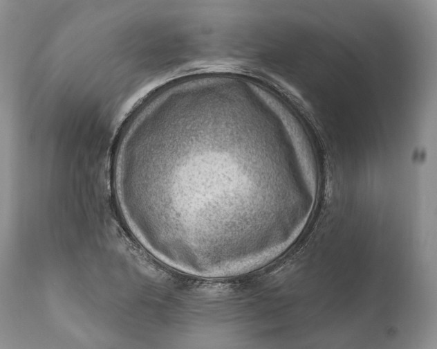 X0000111041174200907091602