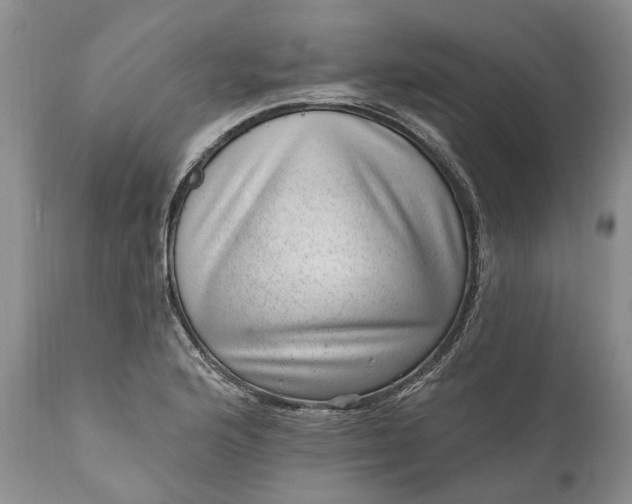 X0000111041176200907091602