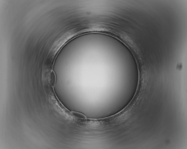 X0000111041177200907091602