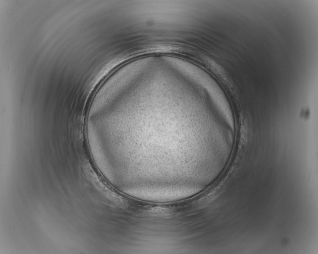 X0000111041178200907091602