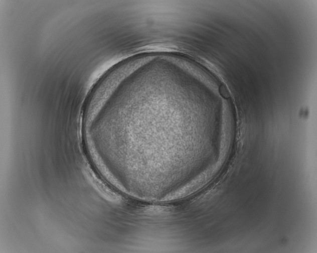 X0000111041179200907091602