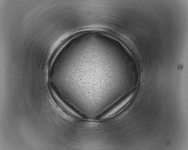 X0000111041180200907091602