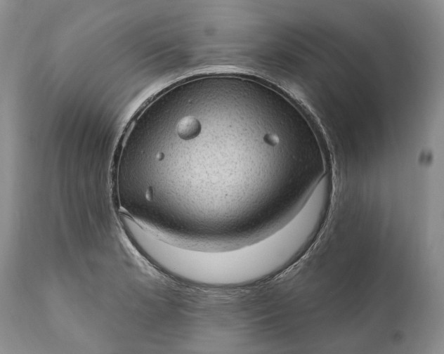 X0000111041181200907091602