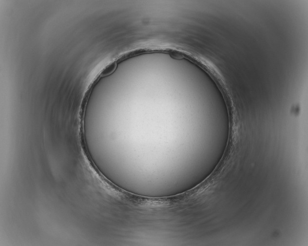 X0000111041183200907091602