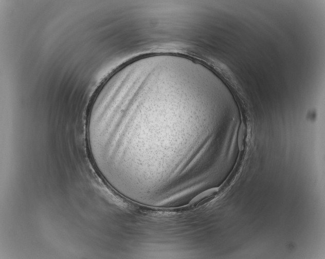 X0000111041184200907091602