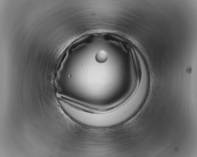 X0000111041185200907091602