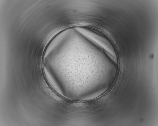 X0000111041186200907091602