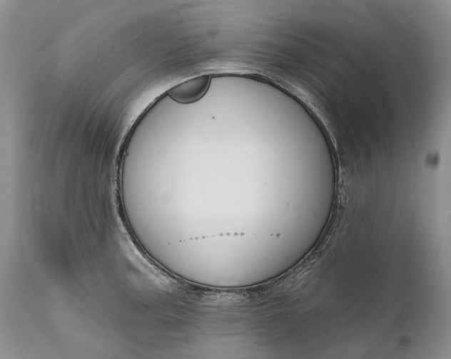 X0000111041187200907091602