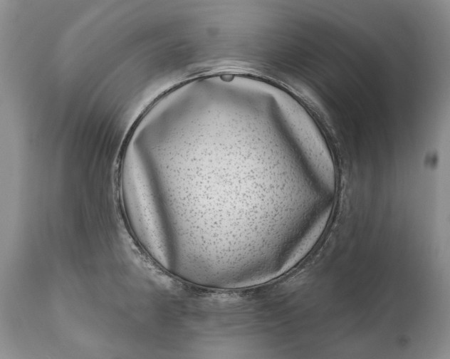 X0000111041190200907091602