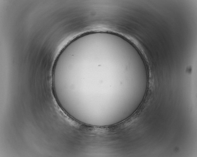 X0000111041191200907091601