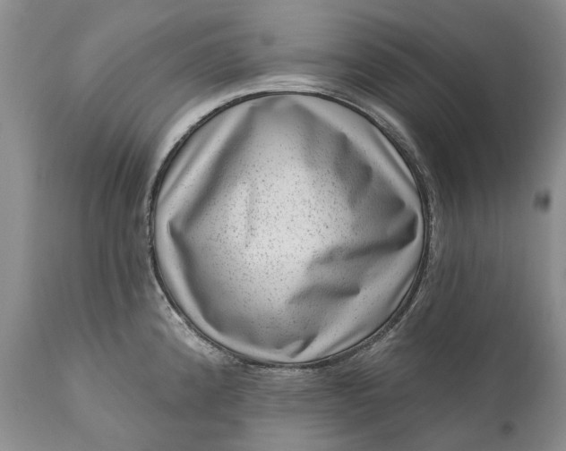 X0000111041192200907091601