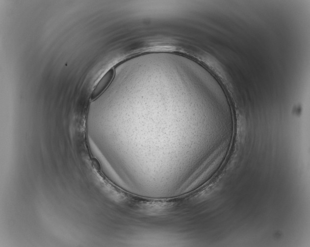 X0000111041193200907091601