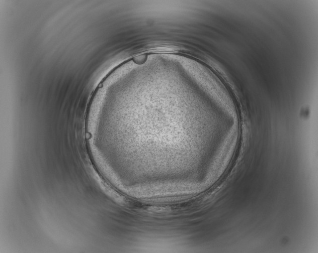 X0000111041194200907091601