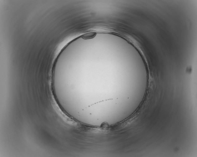 X0000111041195200907091601