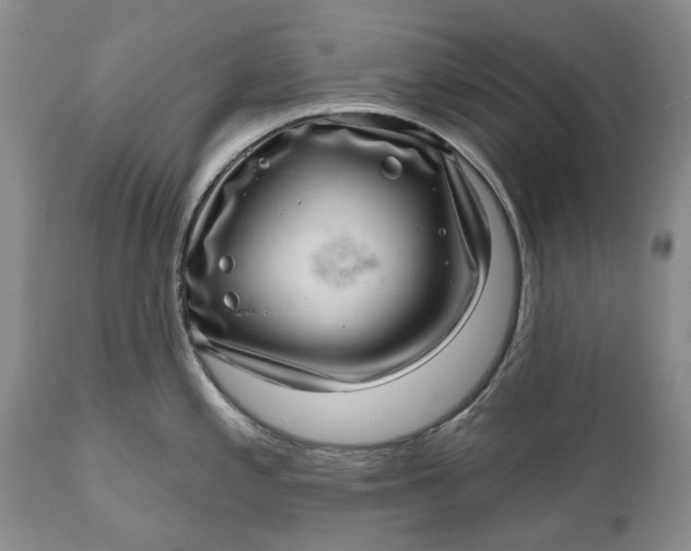 X0000111041197200907091601