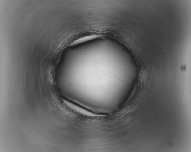 X0000111041202200907091601