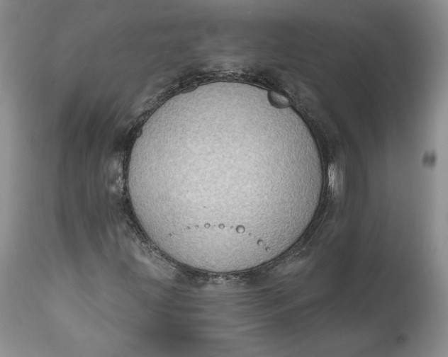 X0000111041203200907091601