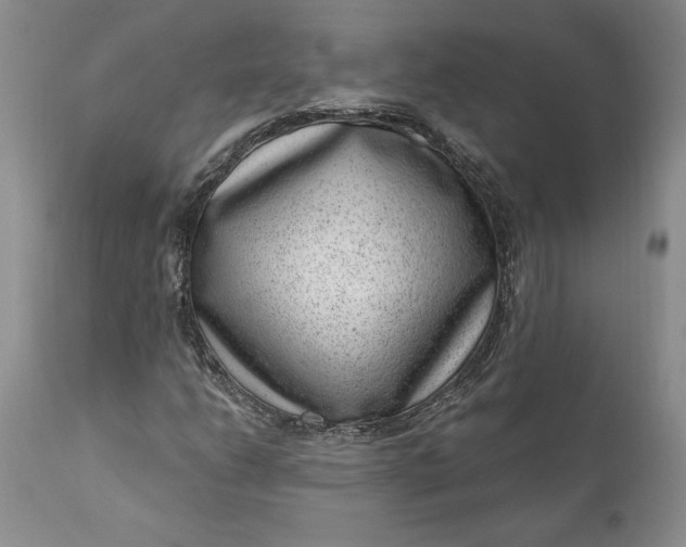 X0000111041206200907091601