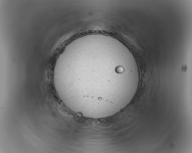 X0000111041207200907091601