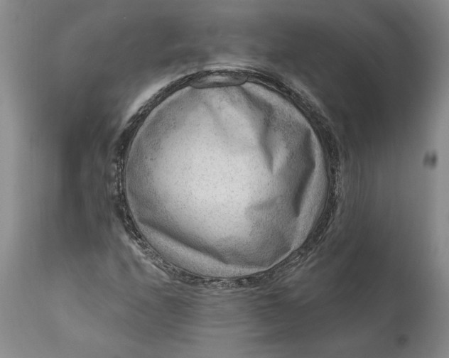 X0000111041208200907091601